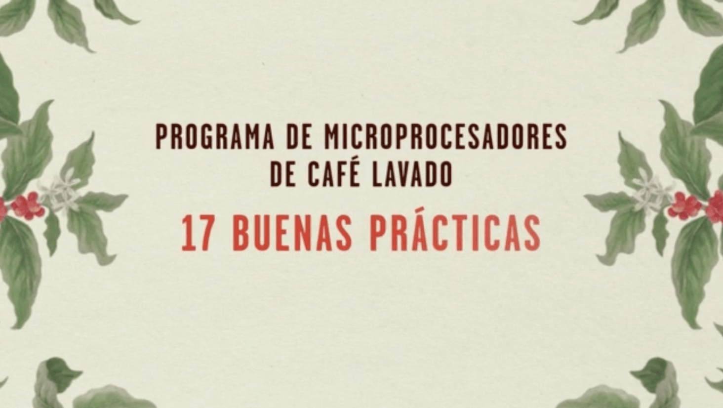 Buenas Prácticas de Café Lavados